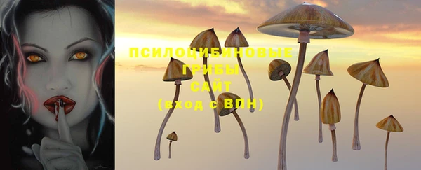 твердый Балахна