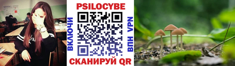 shop телеграм  Новоалександровск  Псилоцибиновые грибы Magic Shrooms 